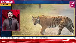 MEEM TV Express News || 02-Feb-2026 ||