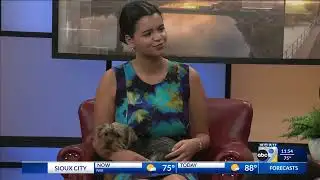 "Meet Andy" -- KCAU 9 News at 11:30 October 3, 2025