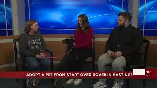 Meet "Jolene" from Start Over Rover!