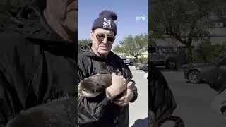 Meet Splash, the first search and recovery otter