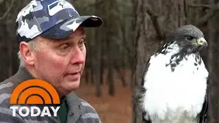Meet Taima, the Seattle Seahawks’ soaring mascot
