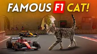 Meet the FAMOUS F1 CAT at the AZERBAIJAN GP!