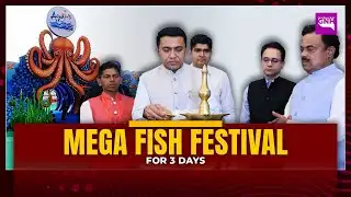 Mega Fish Festival for 3 Days