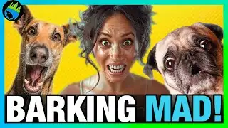 Meghan Markle Calls Princess Catherine A DOG!? (Experts React!)