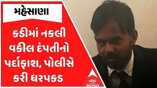 Mehsana Fake Lawyer | કડીમાં નકલી વકીલ દંપતીનો પર્દાફાશ, પોલીસે કરી ધરપકડ