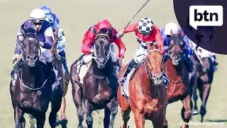 Melbourne Cup Controversy - Behind the News