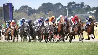 Melbourne cup to run before spectator-free stands