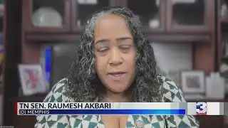 Memphis Democrats react to Governor Lee