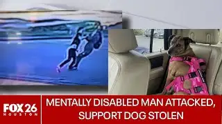 Mentally disabled man attacked, emotional support dog stolen