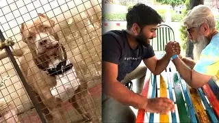 Mera new pitbull ye raha 😍