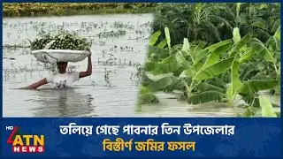 তলিয়ে গেছে পাবনার তিন উপজেলার বিস্তীর্ণ জমির ফসল | Metal | ATN News