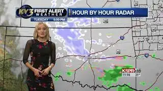 Meteorologist Leah Hill Full Forecast 12/15/2020