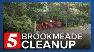 Metro Homeless Impact Division hosting community clean-up at Brookmeade Park
