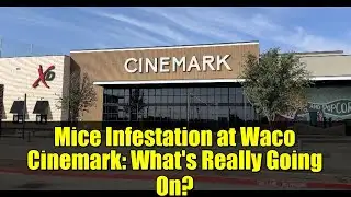 Mice Infestation at Waco Cinemark: What