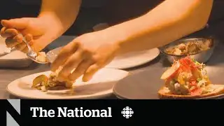 Michelin Guide is coming to Quebec