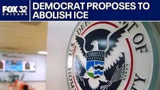 Michigan democrat proposes abolishing ICE