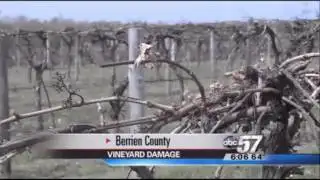 Michigan Grapes Wiped out by Frost