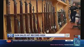 Michigan gun sales, background checks see record high