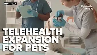 Michigan lawmakers propose telehealth expansion for pets
