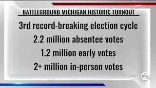 Michigan marks record turnout as some cities see fewer voters