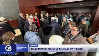 Michigan Senate committee hears testimony on bills limiting ICE operations in state