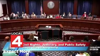 Michigan Senate committee hears testimony on bills restricting ICE enforcement