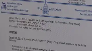 Michigan Senate passes bipartisan bills to reform personal protection order process
