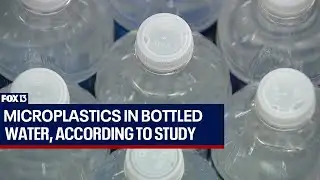 Microplastics in bottled water, according to study