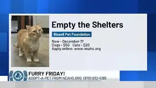 Midday Interview: Meet 