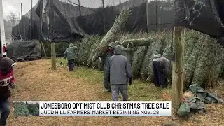 Midday Interview: Optimist Club Christmas Tree Sale