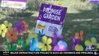 Midday Interview: Walk to End Alzheimer