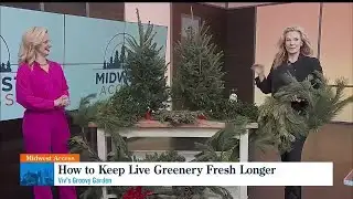 Midwest Access - How to keep live greenery fresh longer