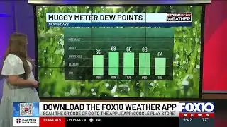 Mild night with slight humidity lingering