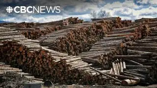 Mill closure in 100 Mile House 