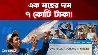 বড়শিতে ধরা পড়ল ৭ কোটি টাকার মাছ! | Million Dollar Fish | CommBOX360
