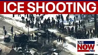 Minneapolis ICE shooting: ICE agent fatally shoots driver