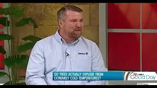 Minnesota Arborist Explains 