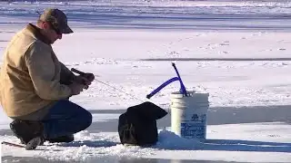 Minnesota DNR could limit walleye possession: What you need to know