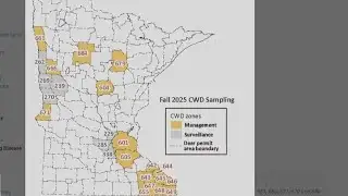 Minnesota DNR reminders ahead of firearm deer season this weekend