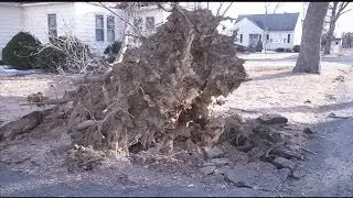 Minor gas leak due to tree collapsing