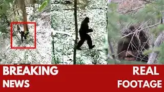 Mireya Mayor: "We recovered a BIGFOOT BODY in ALASKA."LASKA