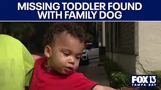 Missing toddler found safe with family dog