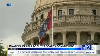 Mississippi Senate passes bill to cut 22 boards, commissions