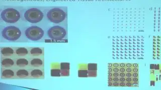 MIT News at Noon with Burcu Erkmen