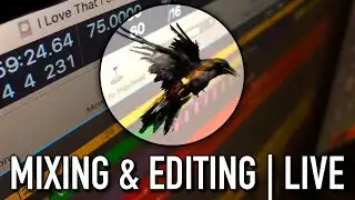 Mixing & Editing Live | Testing New Streaming Setup