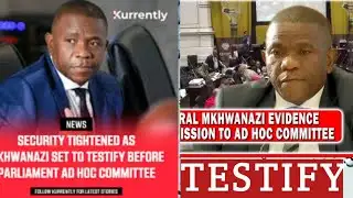 Mkhwanazi to testify at Parliament