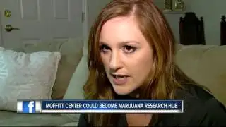 Moffitt could become marijuana research hub