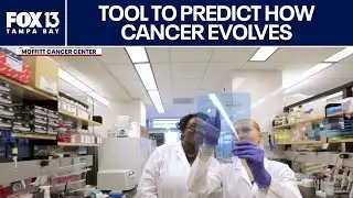 Moffitt researchers develop tool to predict cancer cell evolution