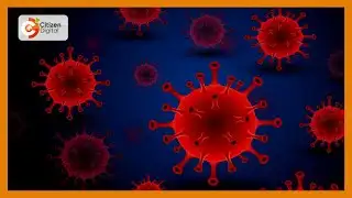 MoH suspends two COVID-19 testing labs due to fake results