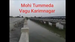 Mohi Tummeda Vagu